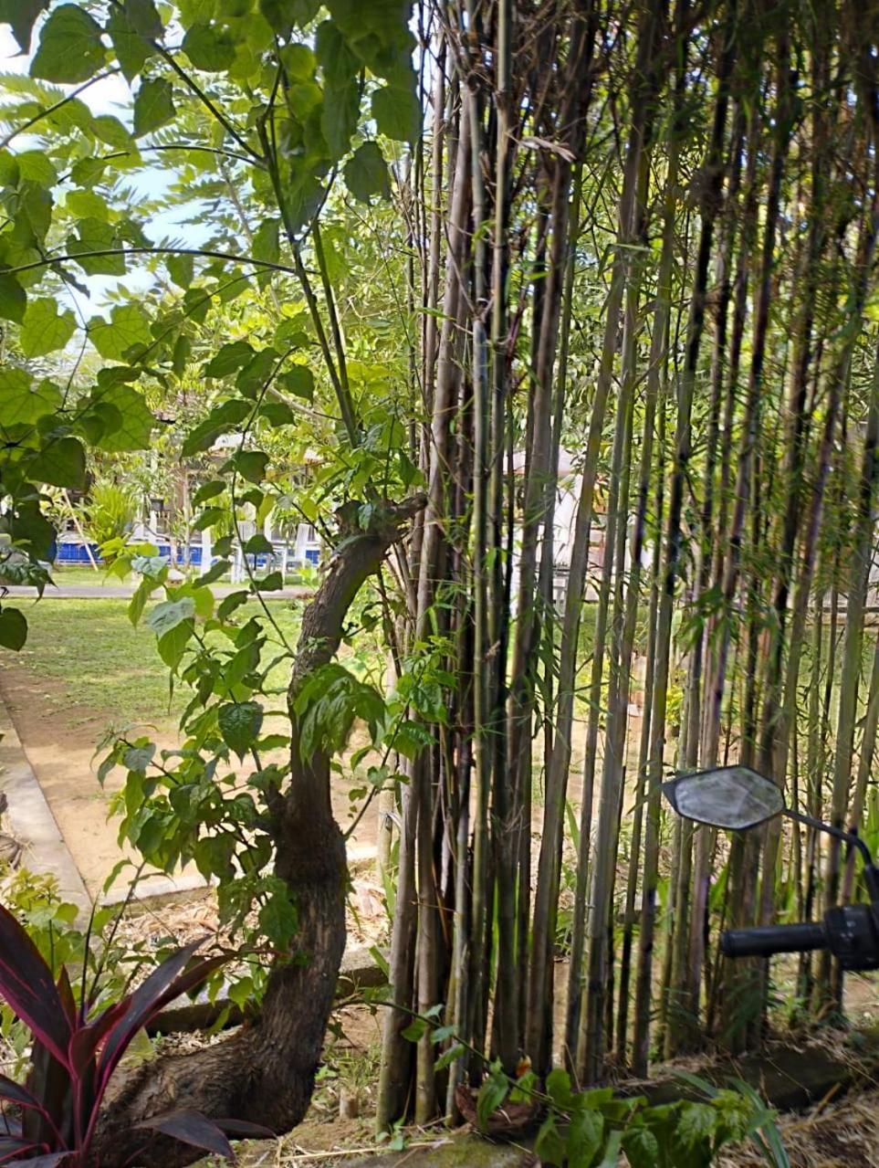 Puri Amartha Apartment อูบุด ภายนอก รูปภาพ