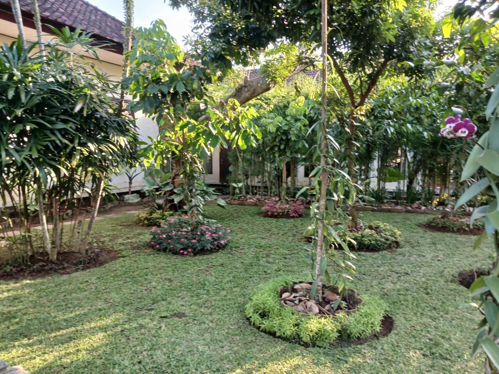 Puri Amartha Apartment อูบุด ภายนอก รูปภาพ