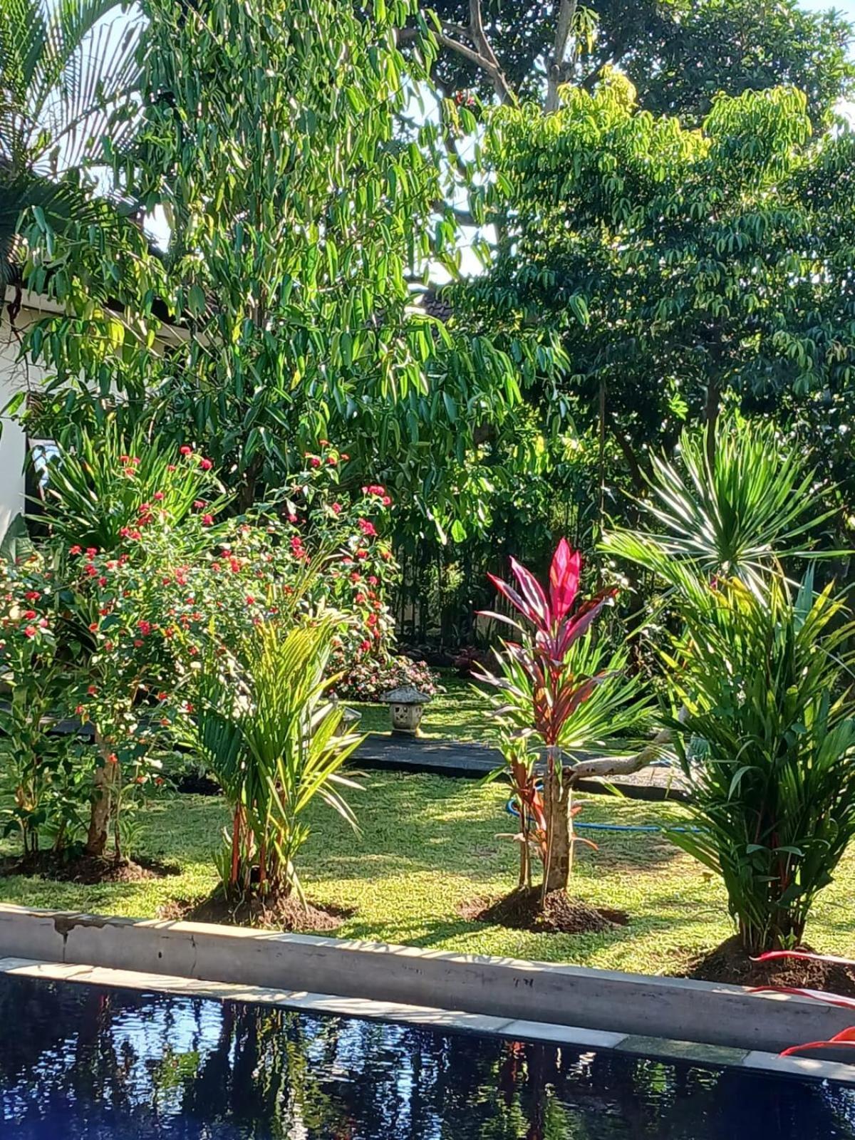 Puri Amartha Apartment อูบุด ภายนอก รูปภาพ