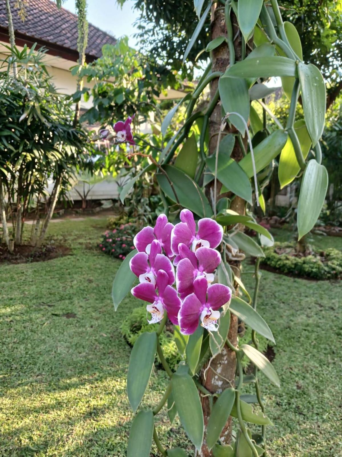 Puri Amartha Apartment อูบุด ภายนอก รูปภาพ